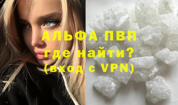 прущие грибы Семилуки